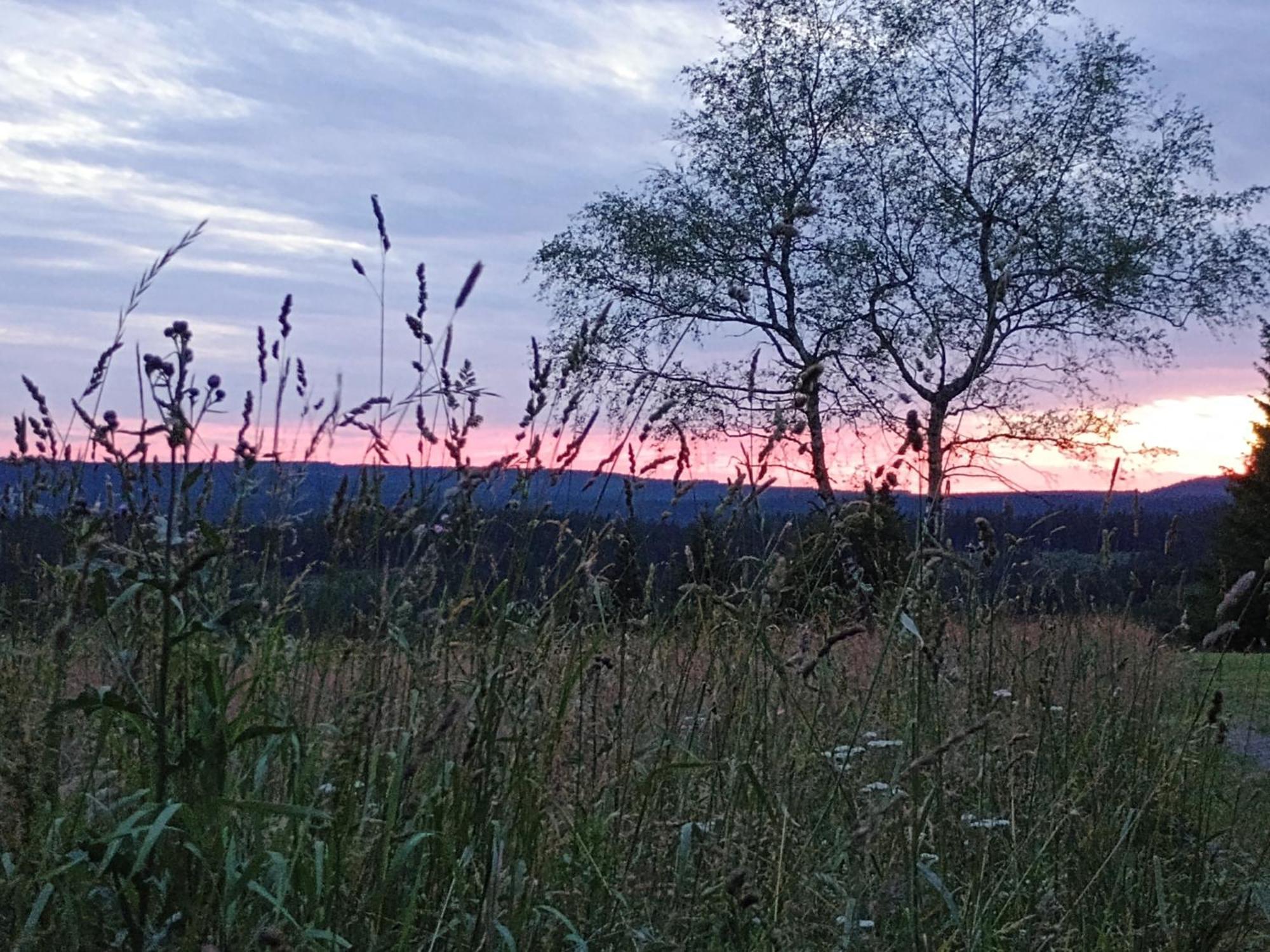 Chata S Vyhledem Jáchymov Exterior foto